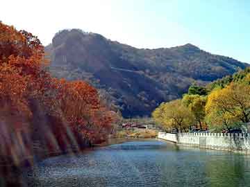 澳门天天开奖免费资料，免拆模板